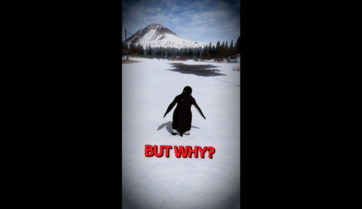 DayZ公式Xの「But why?」に海外の反応、問いかけが呼んださまざまな声